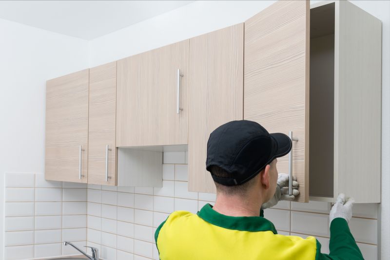 Professional Cabinet Service in Cleveland